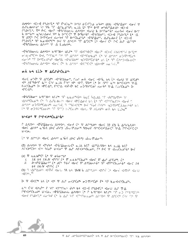 11923 CNC Report 2004_CREE - page 40